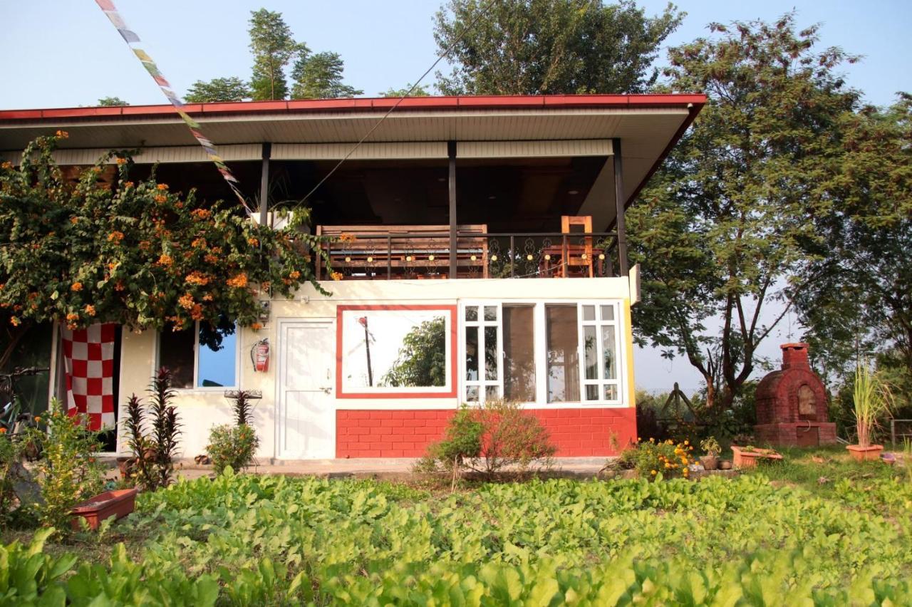 The Glasshouse Hotel Kawasoti Esterno foto